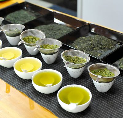 高山茶,高山茶葉,高山茶葉種類介紹, 大禹嶺茶,杉林溪高山茶,阿里山 高山茶,阿里山高山茶,杉林溪,大禹嶺茶葉